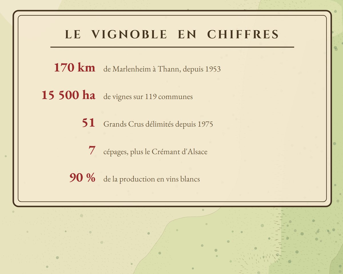 Le cartouche « Le vignoble en chiffres »