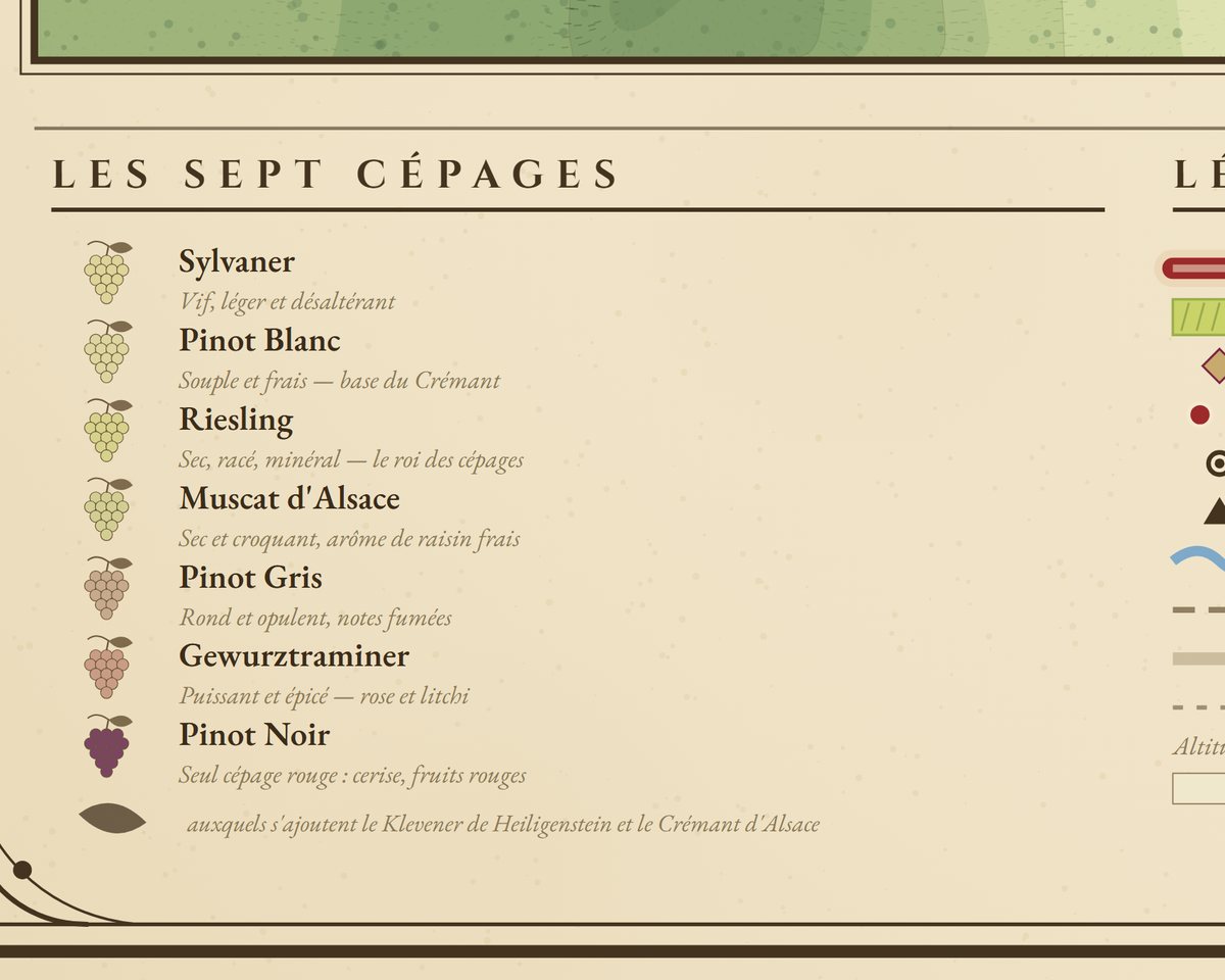 Les sept cépages et la légende